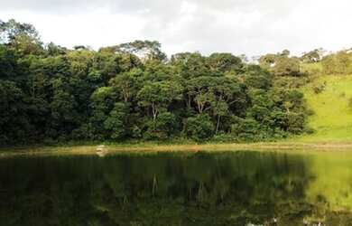 Imagem 9: sb- lote a venda. 