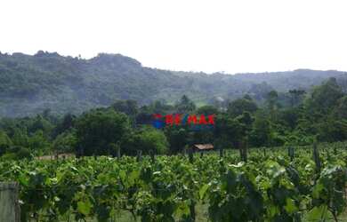 Imagem 4: Sítio à venda, 1351 m² por R$ 6.575.000,00 - Rural - Itupeva/SP