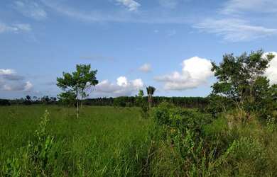 Imagem 2: Fazenda para venda, tem 750.000 m² em Porto Seguro - Porto Seguro - BA