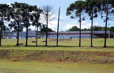 Imagem 12: Galpão à venda, 2829 m² por R$ 15.000.000,00 - Parque Rio Abaixo -...