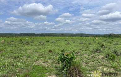 Imagem 6: Fazenda à venda, 2478 hectares por R$ 12.800.000 - Zona Rural - Itacajá/TO