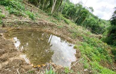 Imagem 9: Belíssimo sítio de 5.3 hectares em Urussanga