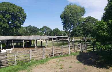 Imagem 5: Fazenda região de poconé