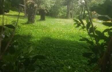 Imagem 1: Terreno à venda, 1100 m² por R$ 250.000,00 - Monterrey - Louveira/SP