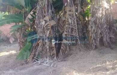 Imagem 5: Terreno Residencial à venda, Área Rural de Artur Nogueira, Artur Nogueira...