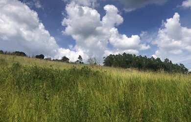 Imagem 1: Terreno para chácara em Ibiuna ,apenas 2 km do asfalto 1HN680J