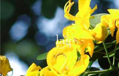 Imagem 16: Terreno residencial à venda, Condomínio City Castelo, Itu