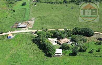 Imagem 6: Fazenda à venda, 169 ALQUEIRES0 por R$ 10.140.000 - Centro - Jacundá/PA