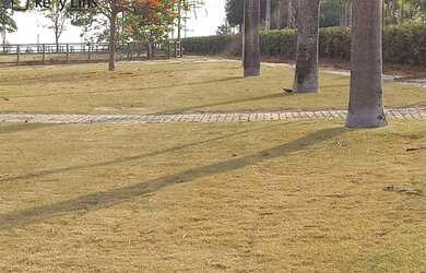 Imagem 9: Maravilhoso haras a venda, em Jaguariúna, interior de SP. Agende uma...