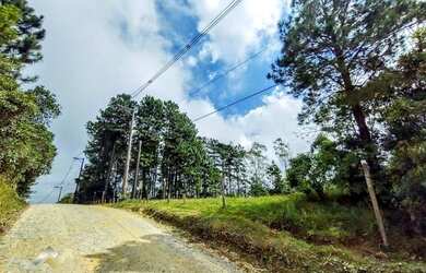 Imagem 4: Terreno à venda, 3000 m² por R$ 299.000,00 - Jardim das Garças - Santo...