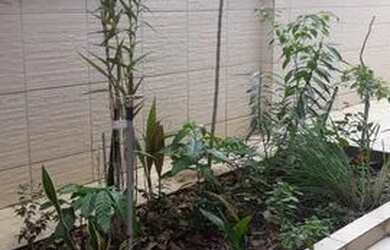 Imagem 3: Alugo Casa 2/4, Sala, Varanda no Santa Monica em Salvador. Ba