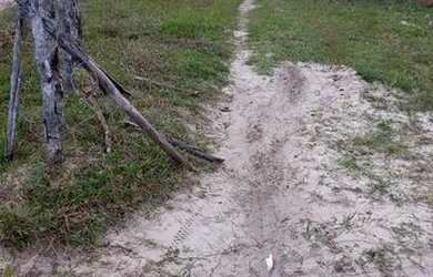 Imagem 3: Terreno. Imóvel novoe286m² de Área