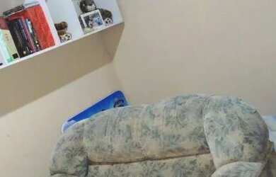 Imagem 7: VENDE SE ESTÁ CASA. 1 Banheiroe2 Dormitórios