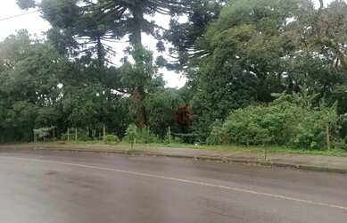 Imagem 5: Terreno à venda em Canela