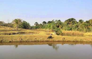 Imagem 2: Sítio 2,0 alqueires, muita água, entre Uberlândia e Monte Alegre