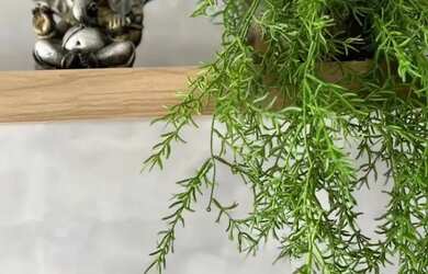 Imagem 4: Apartamento para aluguel com 150 metros quadrados com 3 quartos