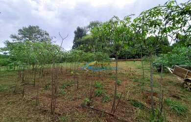 Imagem 5: Chácara à venda, 2000 m² por R$ 210.000,00 - Morumbi - Cascavel/PR