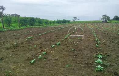 Imagem: A fazenda possui 13.000m² de Área e está localizado em Área