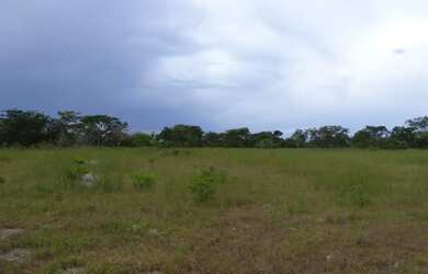 Imagem 8: Fazenda de 226 Hectares em Formoso MG Escriturada