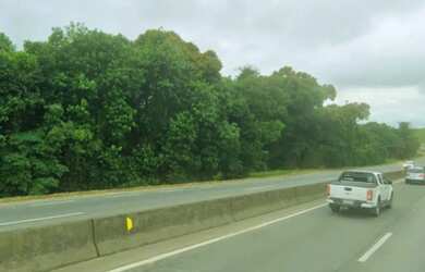 Imagem 6: Área à Venda - BR-101, Araquari/SC