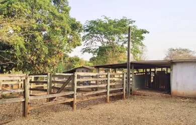 Imagem 7: Sítio 2,0 alqueires, muita água, entre Uberlândia e Monte Alegre