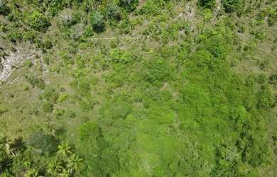 Imagem 6: Fazenda Mista em Conde -BA