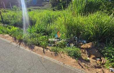 Imagem 4: Terreno as Margens da AL101 com 32 de frente pista, na rota Ecológica...
