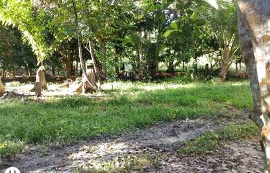 Imagem 2: Sítio Promoção km 26. 25m² de Área