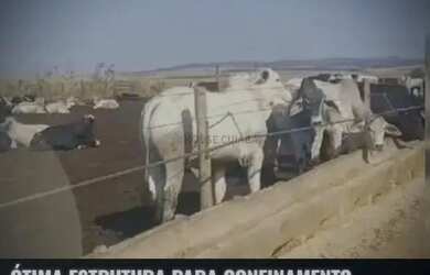 Imagem: A fazenda possui 780m² de Área e está localizado em Área