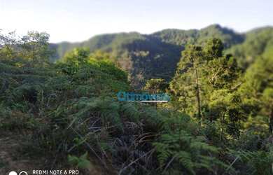 Imagem 4: Área à venda, 605000 m² por R$ 450.000,00 - Zona Rural - Itaperuçu/PR