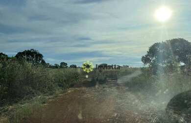 Imagem 8: Fazenda à venda, 2.463 Hectares em Aparecida do Rio Negro - TO