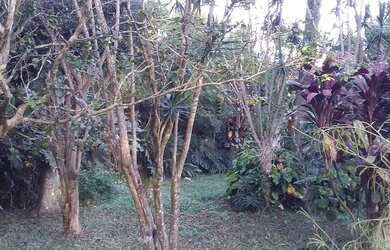 Imagem 10: TERRENO EM ESQUINA DE 450 METROS/ 2 EM CONDOMÍNIO