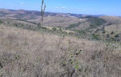 Imagem 9: Terreno 107 Hectares em São Tiago Ótimo Preço