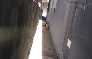 Imagem 6: Eduardo. CASA PARA VENDA EM SÃO PAULO ZONA SUL, LOCALIZADA NO JARDIM...