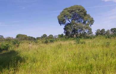 Imagem 9: Fazenda região de poconé