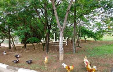 Imagem 10: Terreno à venda, 582 m² por R$ 550.000,00 - Condomínio Ibiti do Paço...