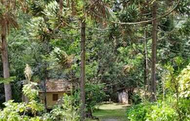 Imagem: Sitio com Riacho e uma Casa simples em Canela na Localidade