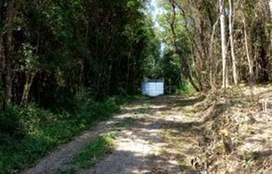 Imagem 4: 3 Super Lançamento de 500m² em Ibiúna-SP 1T3NNVD