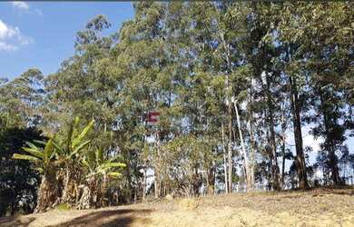 Imagem 7: Sítio à venda, 28000 m² por R$ 490.000,00 - Pau D alho - Itu/SP