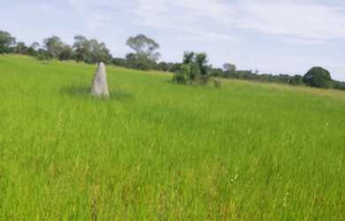 Imagem 7: Fazenda região de poconé