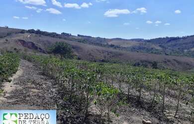 Imagem 2: Terreno 107 Hectares em São Tiago Ótimo Preço
