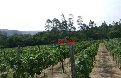 Imagem 5: Sítio à venda, 1351 m² por R$ 6.575.000,00 - Rural - Itupeva/SP