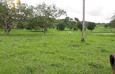 Imagem 5: Fazenda em Poconé à venda, 1060000 m² por R$ 1.600.000 - Zona Rural...