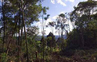 Imagem: O terreno possui 50.000m² de Área e está localizado em Gramado