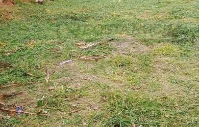 Imagem: O terreno possui 180m² de Área e está localizado em Jardim