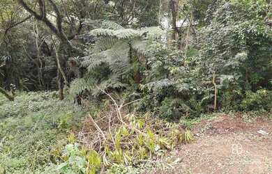 Imagem 5: Terreno à venda, 420 m² por R$ 350.000,00 - GRANJA VIANA RECANTO INPLA - Carapicuíba/SP