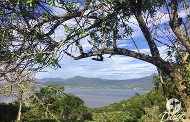 Imagem 2: Terreno à venda, 2915 m² por R$ 550.000,00 - Praia da Ferrugem - Garopaba/SC