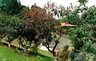 Imagem 8: Sítio Rural à venda, Piquira, Porto Feliz - SI0017