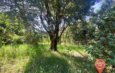 Imagem 2: Terreno à venda, 800 m² por R$ 130.000 - Alto dos Caiçaras - São Joaquim...