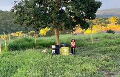 Imagem 3: Vendo ágio vila do pescador